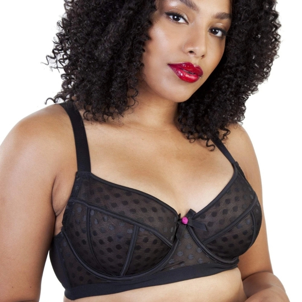 44C - GABI FRESH LENA DOTTY MESH BRA